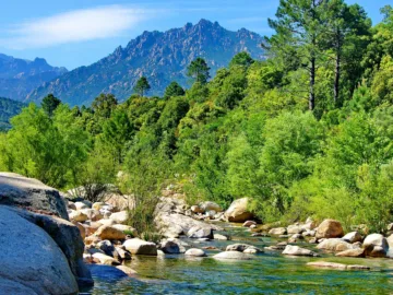 Rochers de granit et eau claire du Cavu entre maquis et pins, sommets rocheux en arrière-plan
