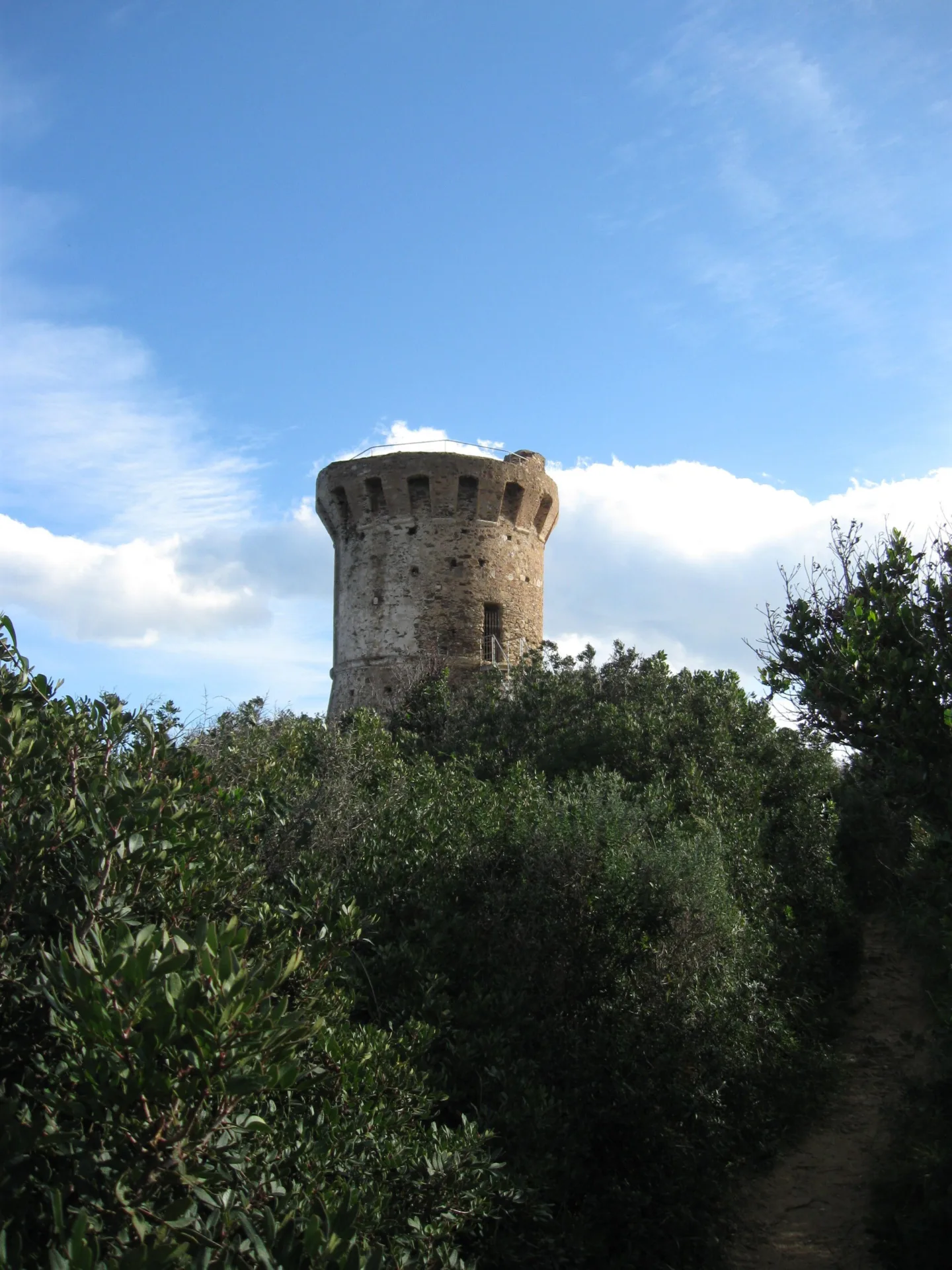 Tour génoise ronde de Fautea au-dessus du maquis, vue depuis le chemin d'accès