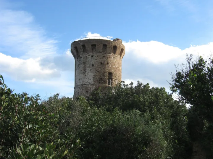 Tour génoise ronde de Fautea au-dessus du maquis, vue depuis le chemin d'accès