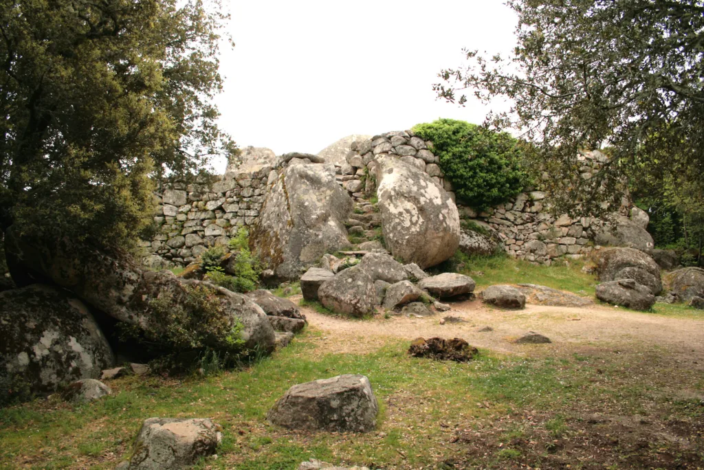Escalier d'entrée et murs de gros blocs du castellu de Cucuruzzu au milieu des rochers de granit