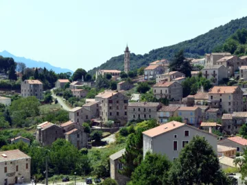 Maisons de pierre de Levie à flanc de colline, entourées de végétation, clocher et montagnes au fond