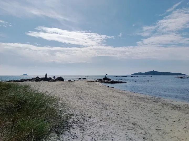 Plage de sable du village de Pinarello, rochers, sculpture de dauphin et île de Pinarellu à l'horizon