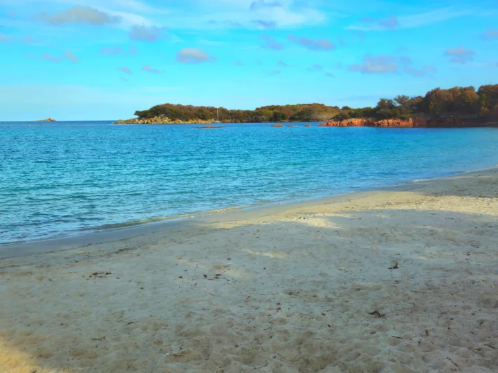 Plage de sable clair de San Ciprianu, eau turquoise et pointes boisées de la baie de Saint-Cyprien à Lecci