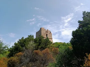 La tour génoise carrée de Pinarellu, en partie ruinée, dépassant du maquis au sommet de l'île