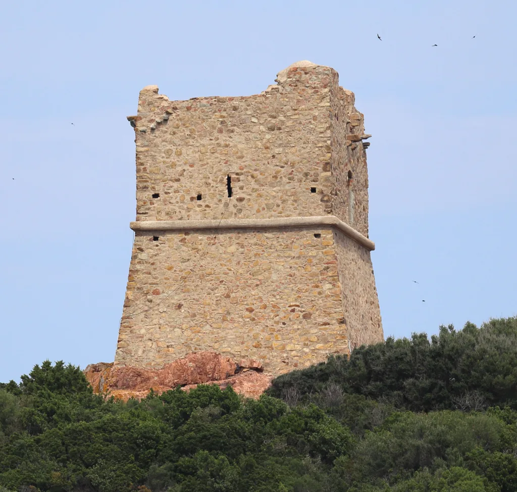 Vue rapprochée de la tour carrée de Pinarellu, maçonnerie de pierres et brèche de l'ancienne porte, au-dessus du maquis