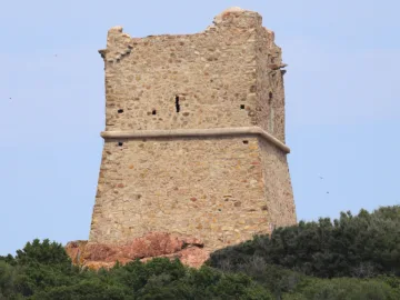 Vue rapprochée de la tour carrée de Pinarellu, maçonnerie de pierres et brèche de l'ancienne porte, au-dessus du maquis